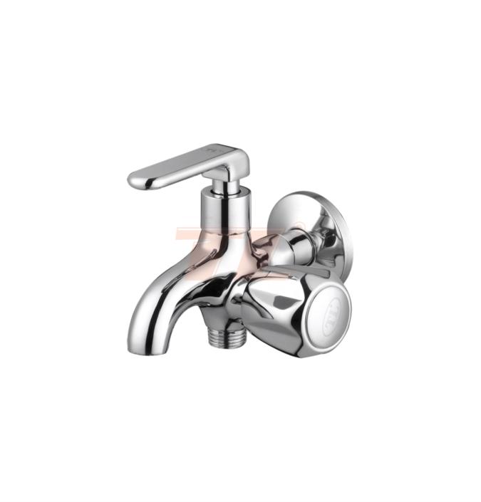 Vòi sen lanh C-6009