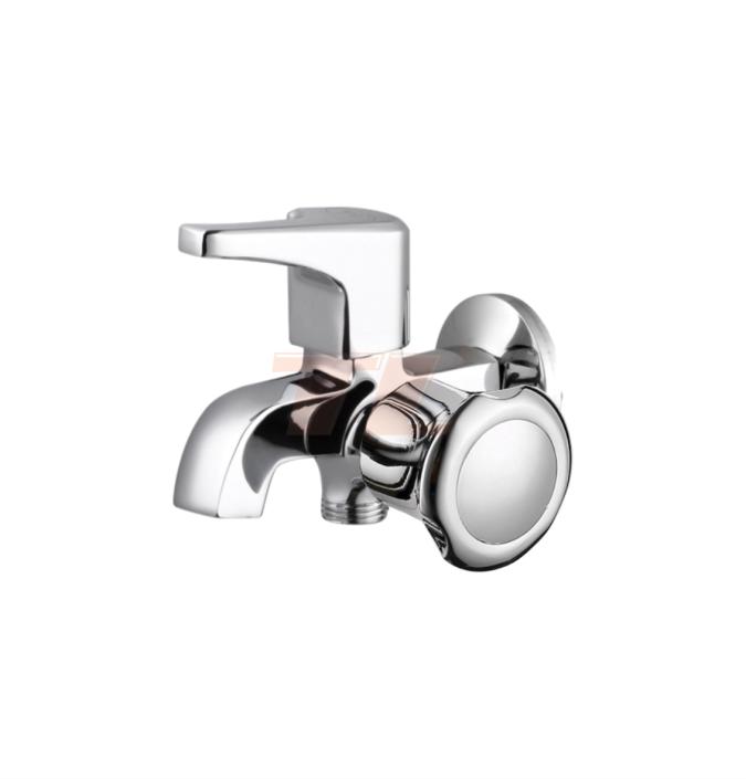 Vòi sen lanh C-6013